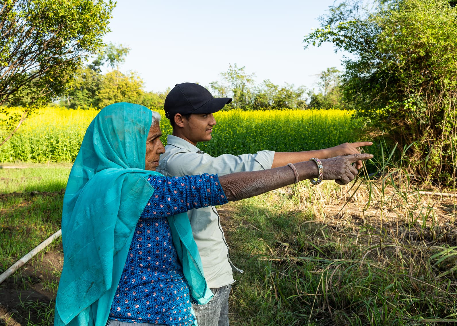 Household collaboration